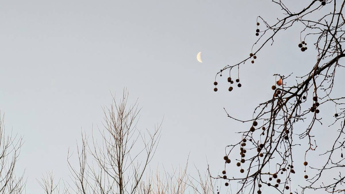 Berkhamsted, Herts, Moon over Berkhamsted...