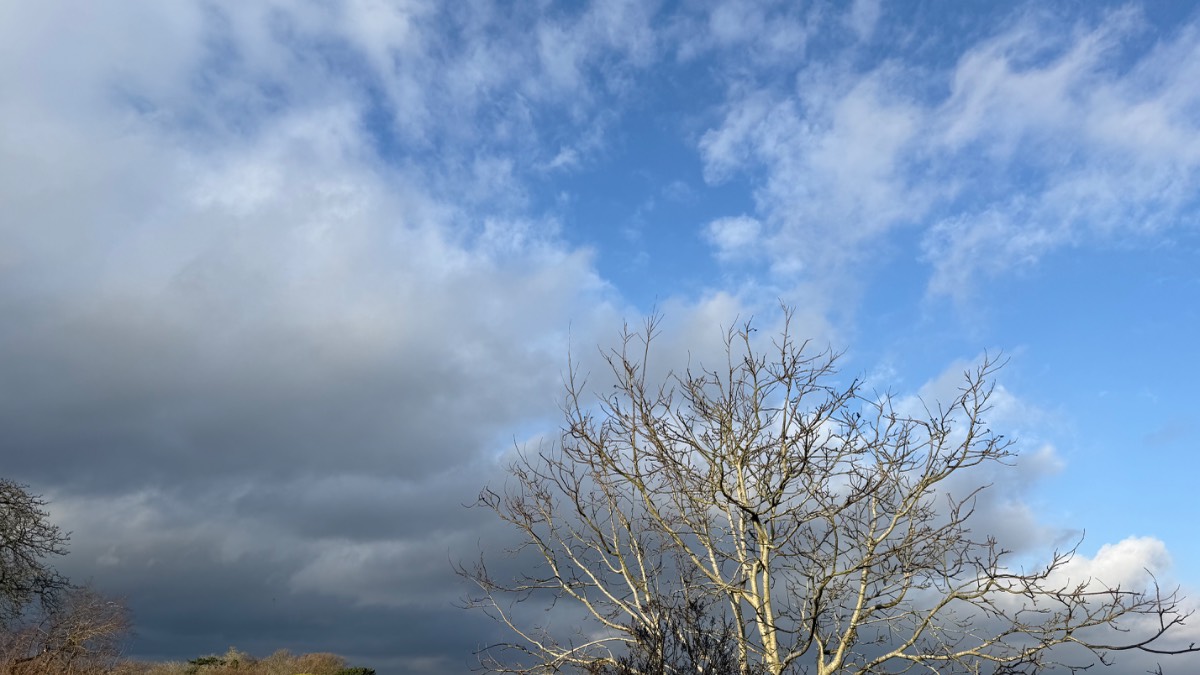 Henley on Thames, Oxon, Nice bright morning dry mild with light winds...