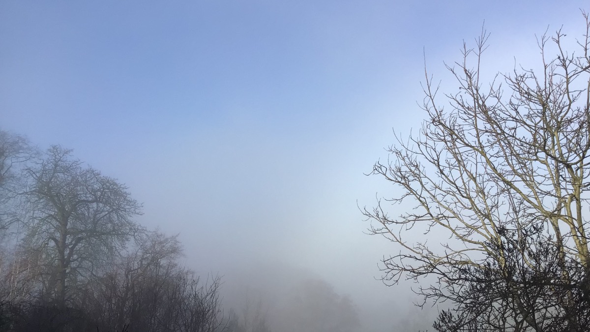 Henley, Oxon, Fog lifting -2c min now 3c...