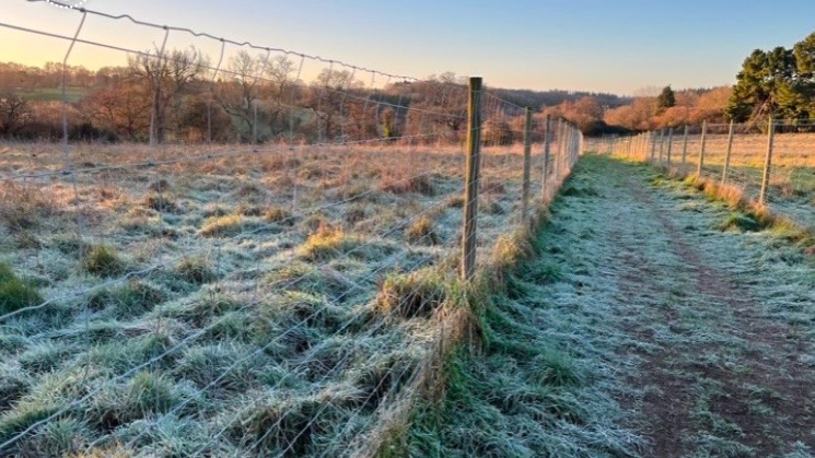 Henley on Thames, Oxon, Another touch of frost this morning ...
