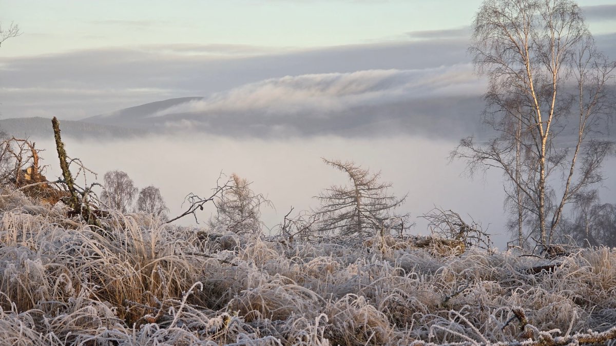 Grantown on Spey, Highlands, Inversion over Grantown...