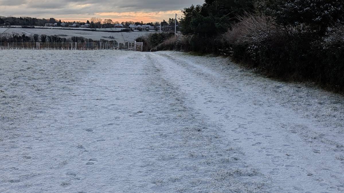 Berkhamsted, Herts, A wintry scene in the hills outside Berkhamsted...