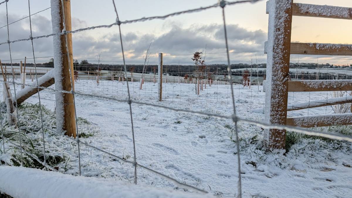 Berkhamsted, Herts, Snow through the fence...