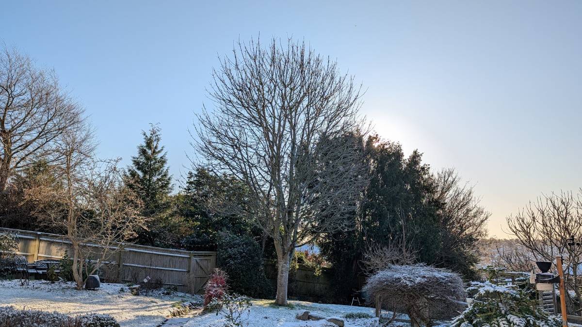 Berkhamsted, Herts, A stunning January day ...