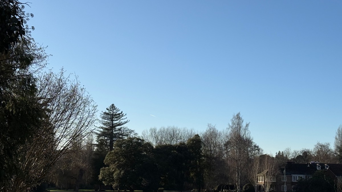 Henley on Thames, Oxon, Max 1c frost all day in shade now 0c ...