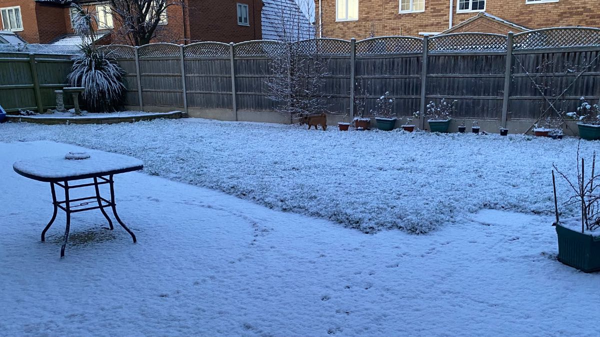 Moulton Chapel, Lincolnshire, Snowy garden ...