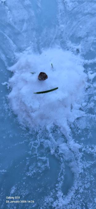 Salisbury, Wiltshire, Ice/snow Polar bear face created by 7 year old Grandson...