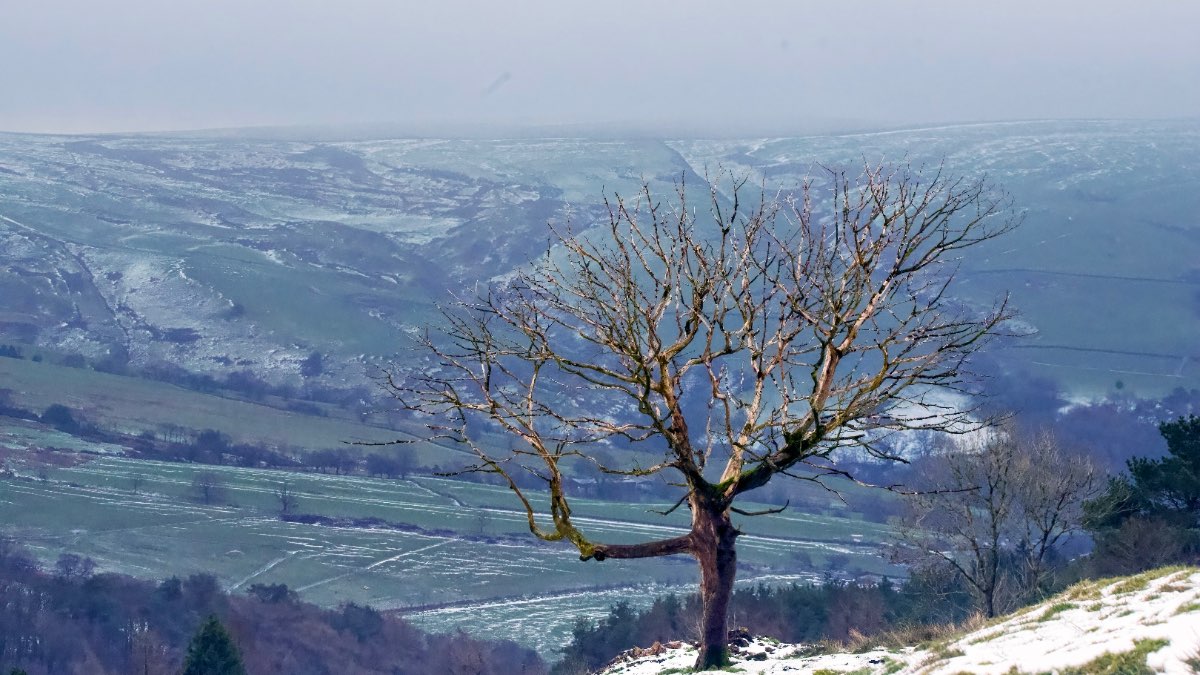 Leek, Staffordshire, A raw morning on the staffs moorlands with a strong NW wind with  the odd s...