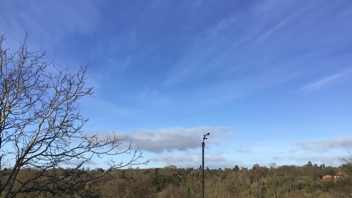 Henley, Oxon, Nice morning after light rain over night much milder...