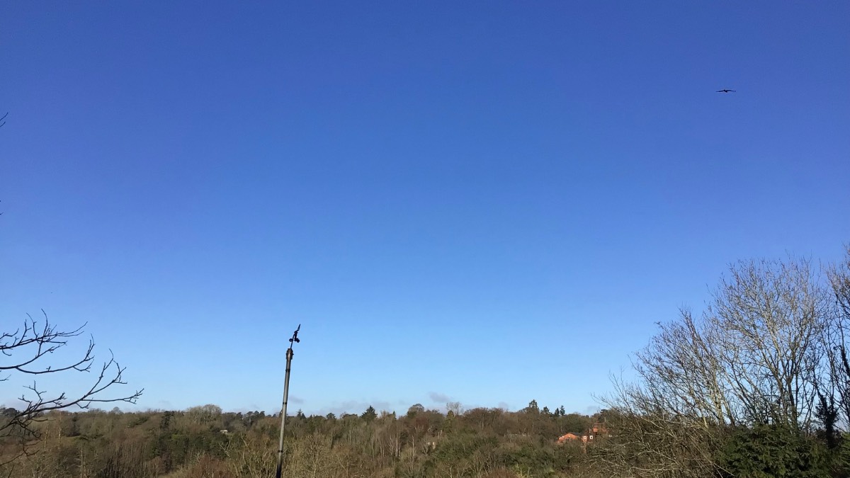 Henley, Oxon, Cold but blue skies and reward of sun ...