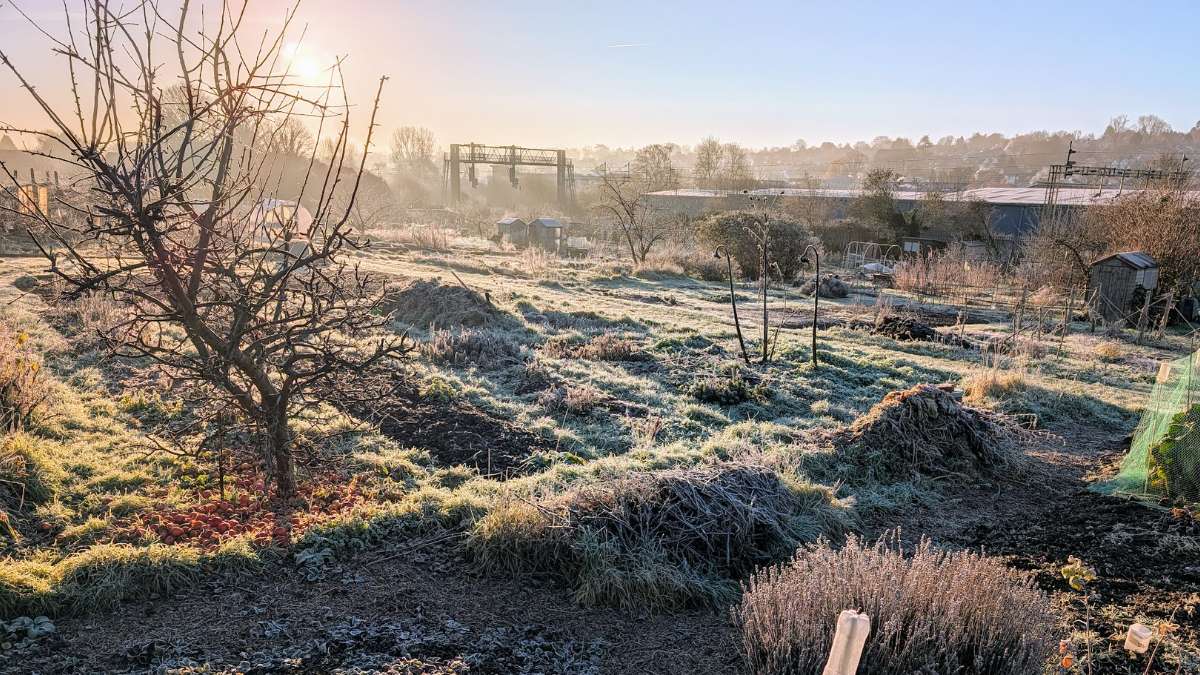 Berkhamsted, , Bright and frosty...