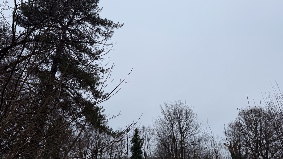 Henley, Oxon, Rain stopped at 5.30? 14 mm here 2 nd highest locally ...