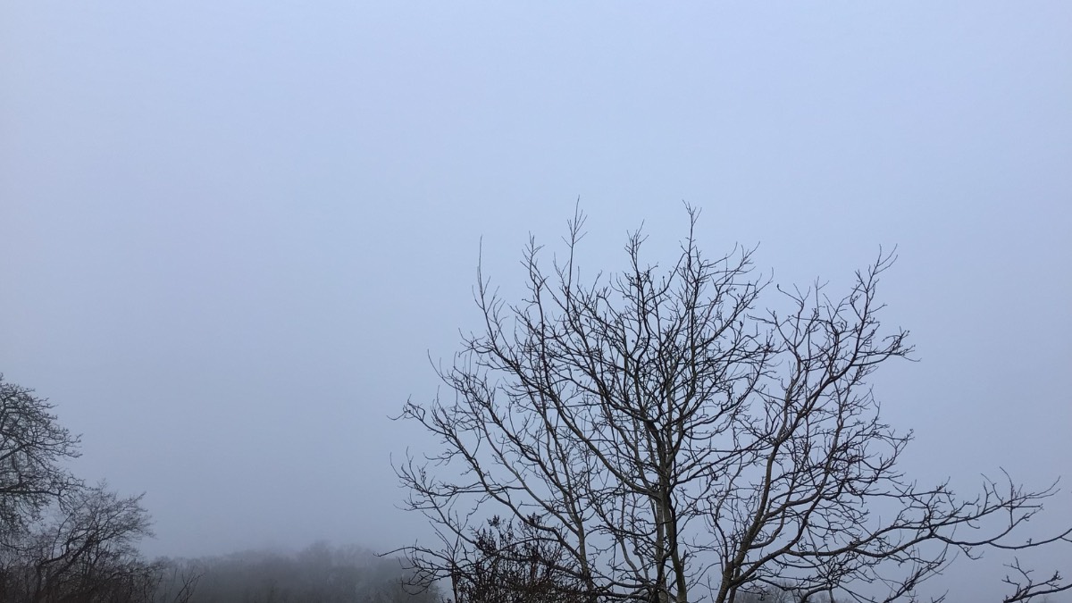 Henley, Oxon, Mist and merk now fog just 2c min 0c still...