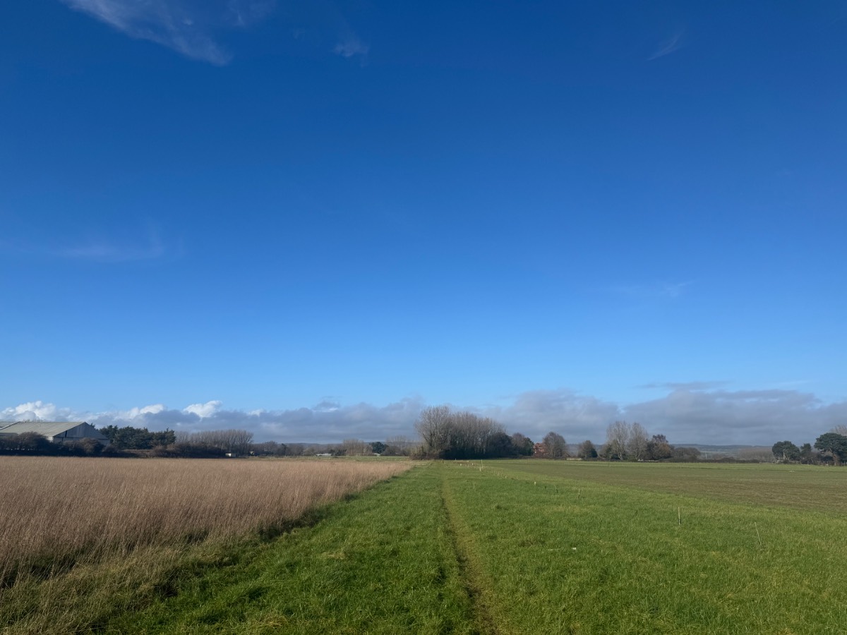 Arundel, West Sussex, Pleasant mid-winter sunshine near Arundel, but distant showers....