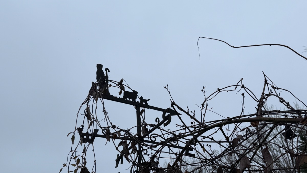 Henley, Oxon, Foggy early now merky very still and dry...