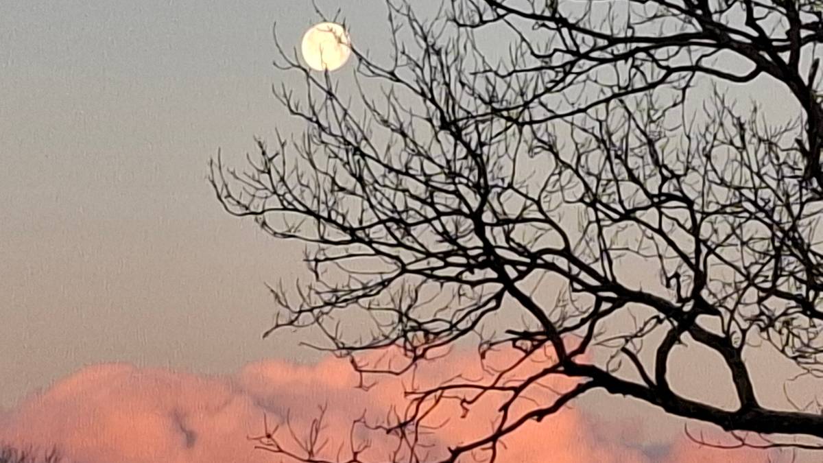 Thrapston, Northants, Moon over Woodford...