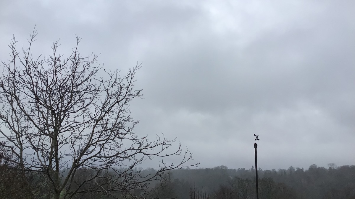 Henley, Oxon, Result of no cold weather and us on front is wet wet wet! At least in cold ...