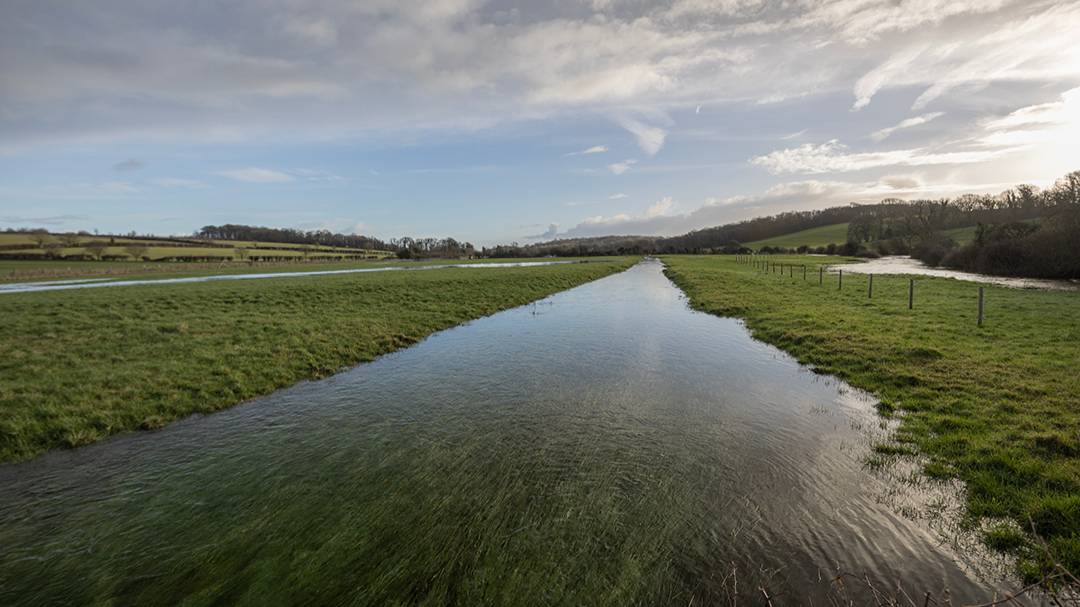 Came near Dorchester, Dorset, Full Bore - Dorset Winterbourne...