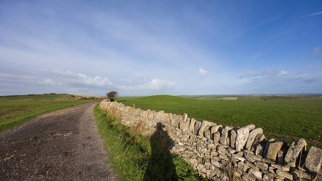 Dorchester, Dorset, Neolithic Super Highway and Me. South Dorset Ridgeway...
