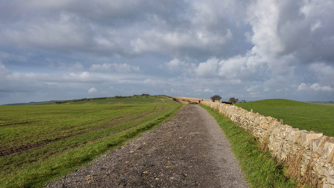 Dorchester, Dorset, Neolithic Super Highway - South Dorset Ridgeway with ancient barrow to the ...