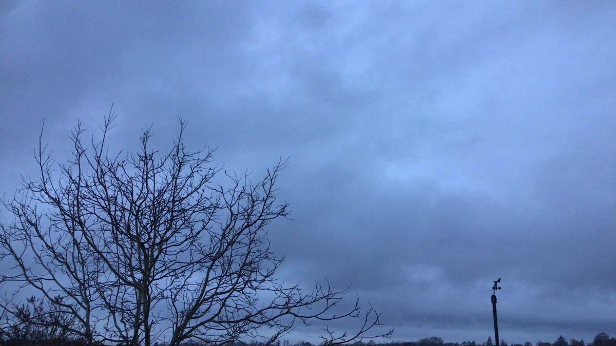 Henley, Oxon, More of the same damp drizzle jan highlights 110 mm rain 15 air frost colde...