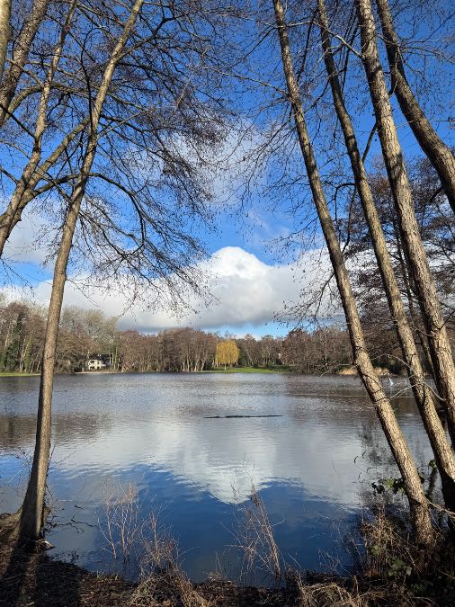 , , A brief respite: almost spring like at Silvermere Golf Centre, Cobham...