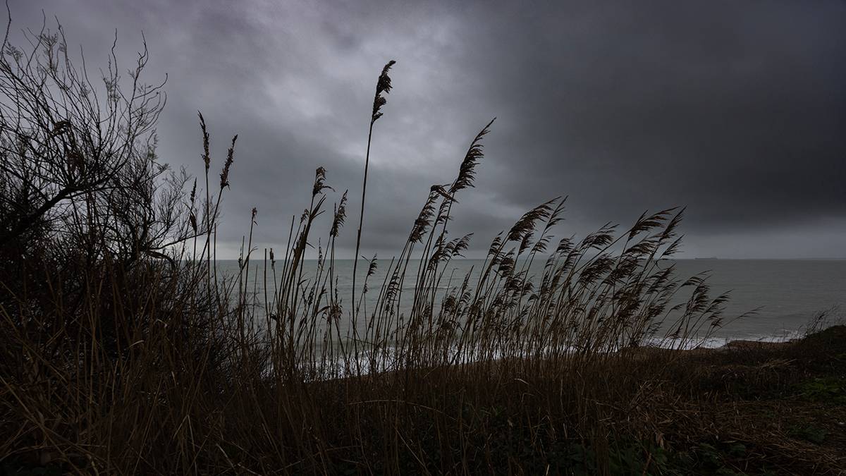 Weymouth, Dorset, Bleak...