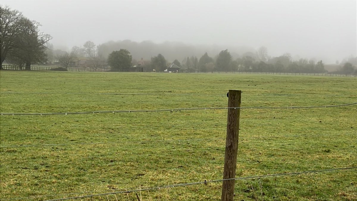 Henley, Oxon, A bit late today 9.30 Am photo not much to report actually was not a bad da...