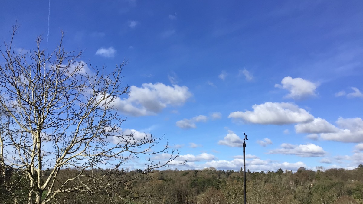 Henley, Oxon, More days like this please well we can only wish with a brief spell of snow...