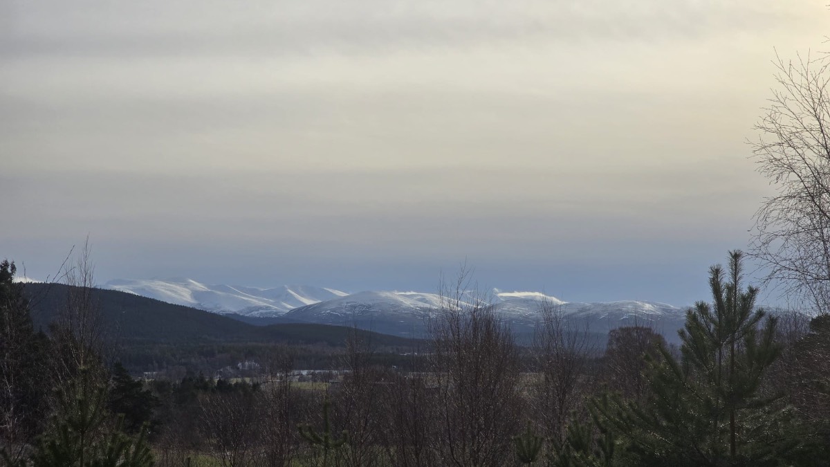 Grantown on Spey, Highlands, Cairngorms looking good for skiing this week....