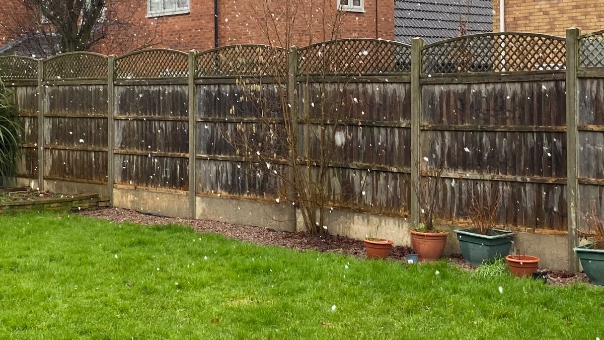 Moulton Chapel, Lincolnshire, Falling snow. Large flakes. ...