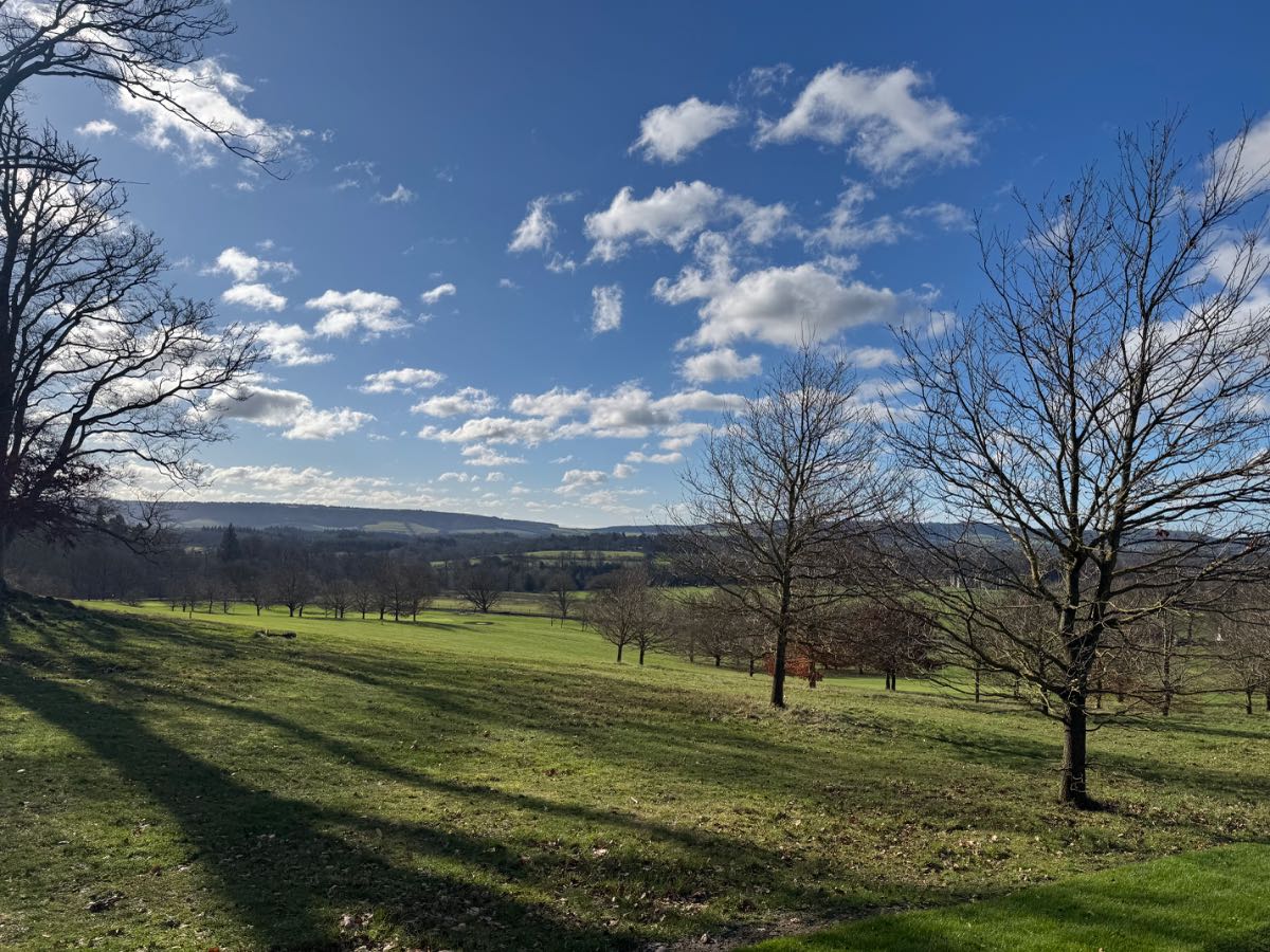 Midhurst, , Appearances are deceptive. Late winter sunshine but bitterly cold at Cowdra...