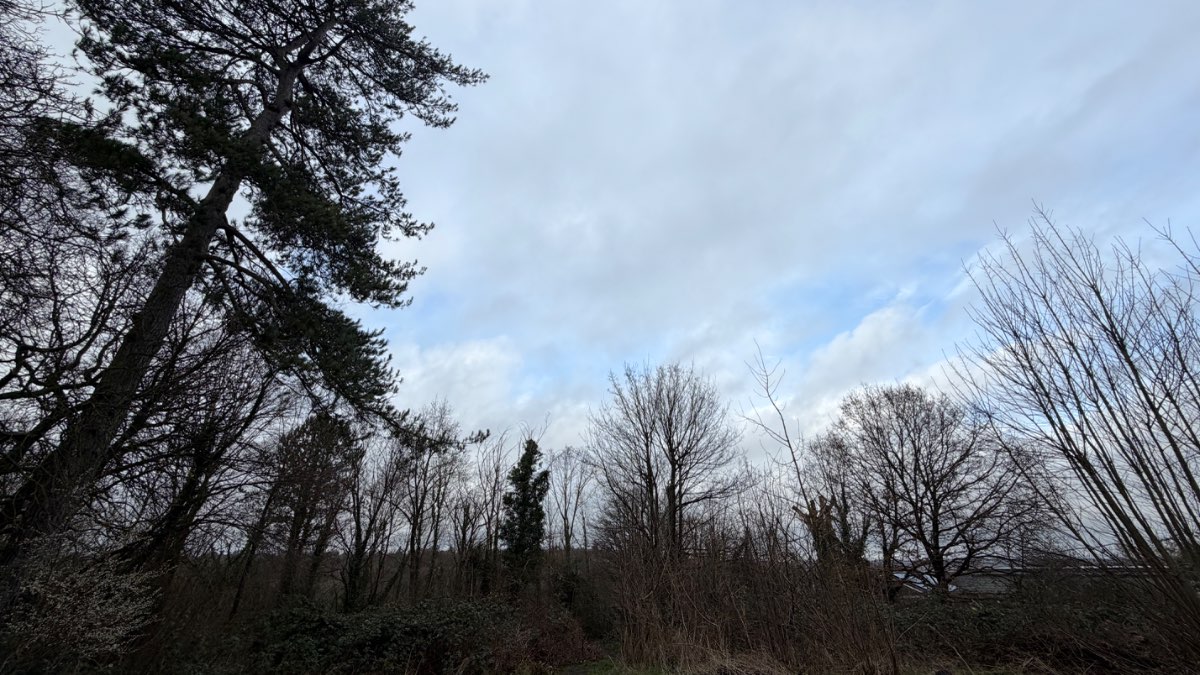 Henley, Oxon, Mild cloud some sun and odd showers light...