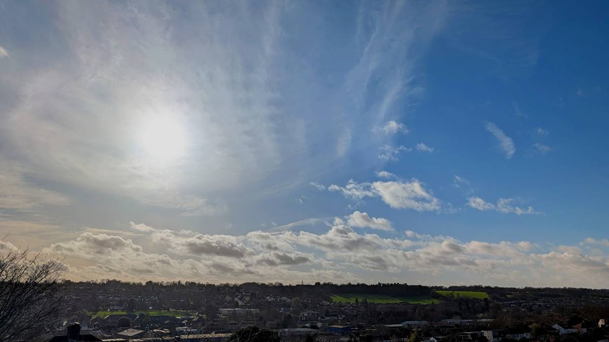 Berkhamsted, Herts, An early taste of spring...