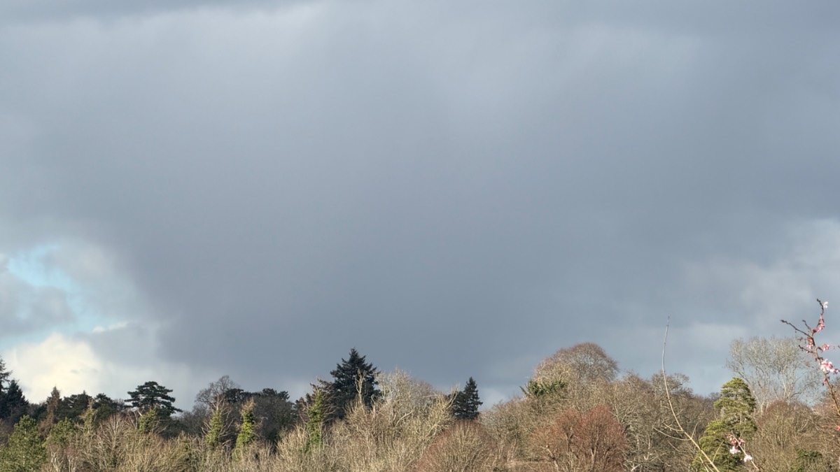 Henley, Oxon, Another dry day had 2mm overnight shower to NE but very workable day ...