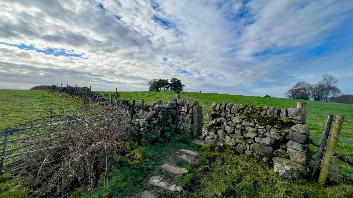 Leek, Staffordshire, Feeling more spring like but still very boggy underfoot....