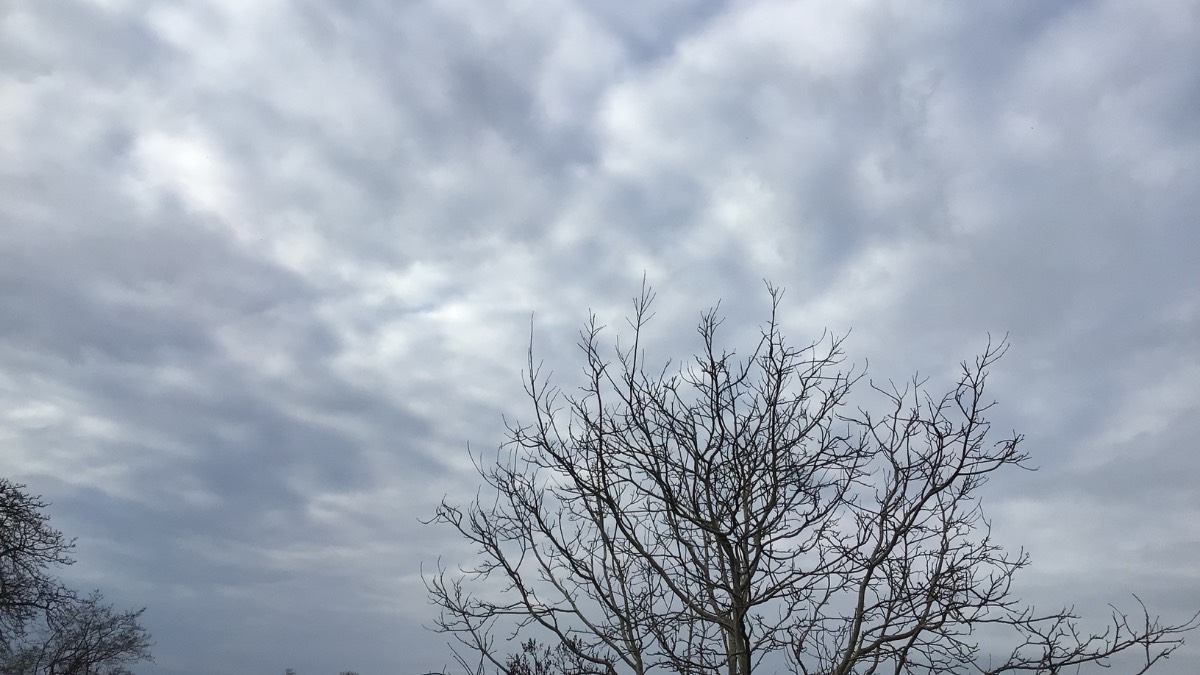 Henley, Oxon, Another good day lots of sun this morning cloudier afternoon mild 14c no wi...