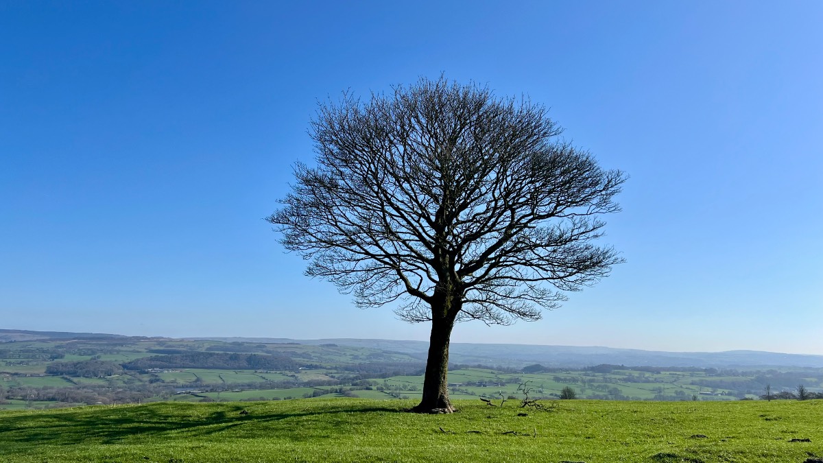 Leek, Staffordshire, Superb early March weather perfect for a cycle ride in the hills....