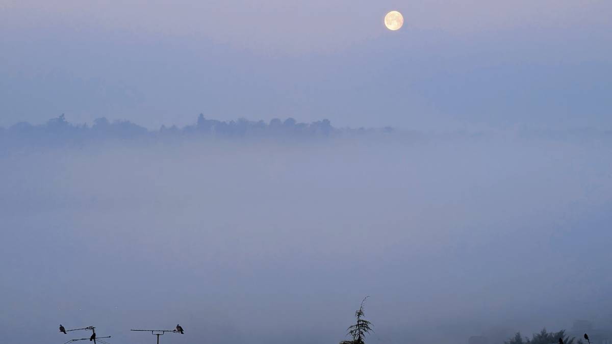 Berkhamsted, Herts, Moon over the fog in the Bulbourne Valley...