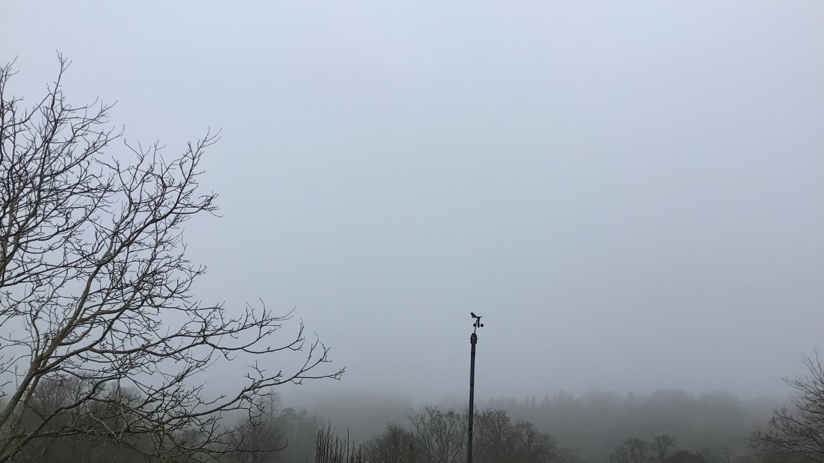 Henley, Oxon, Foggy and cool again very still ACG ...