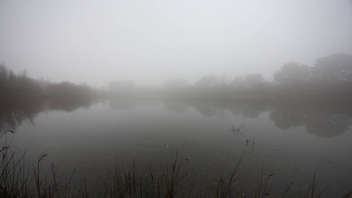 Dorchester, Dorset, A Fog in March is worth a Frost in May?...