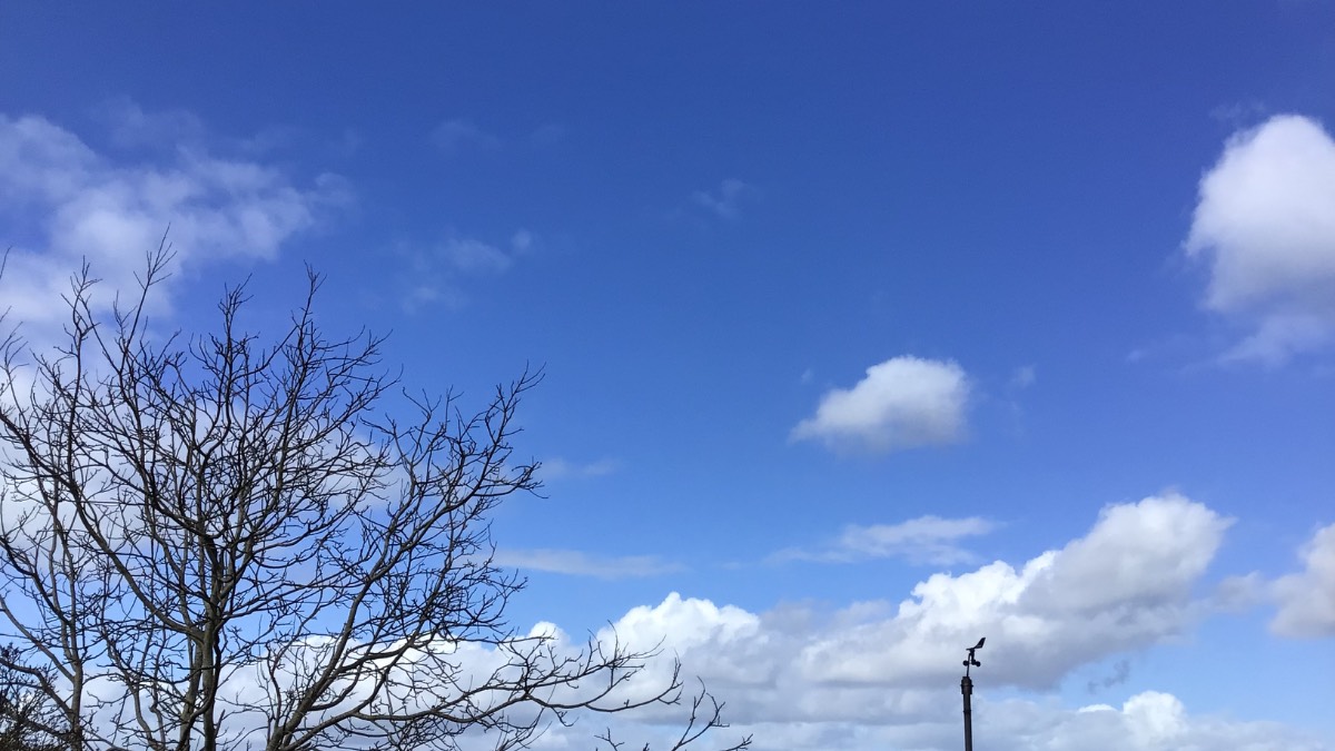 Henley, Oxon, Good sunny spells 11c light wind 1012mb 65%...