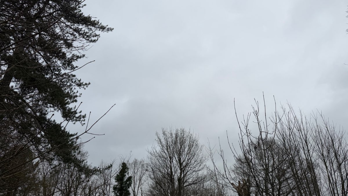 Henley, Oxon, Cloudy dry up to 2 pm now drizzle light breeze as we are sheltered 9 c...