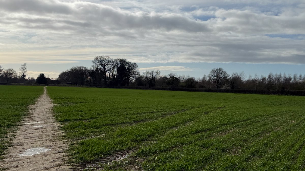 Henley, Oxon, Got away with no showers cool day less wind 10c max now 6c frost on the car...