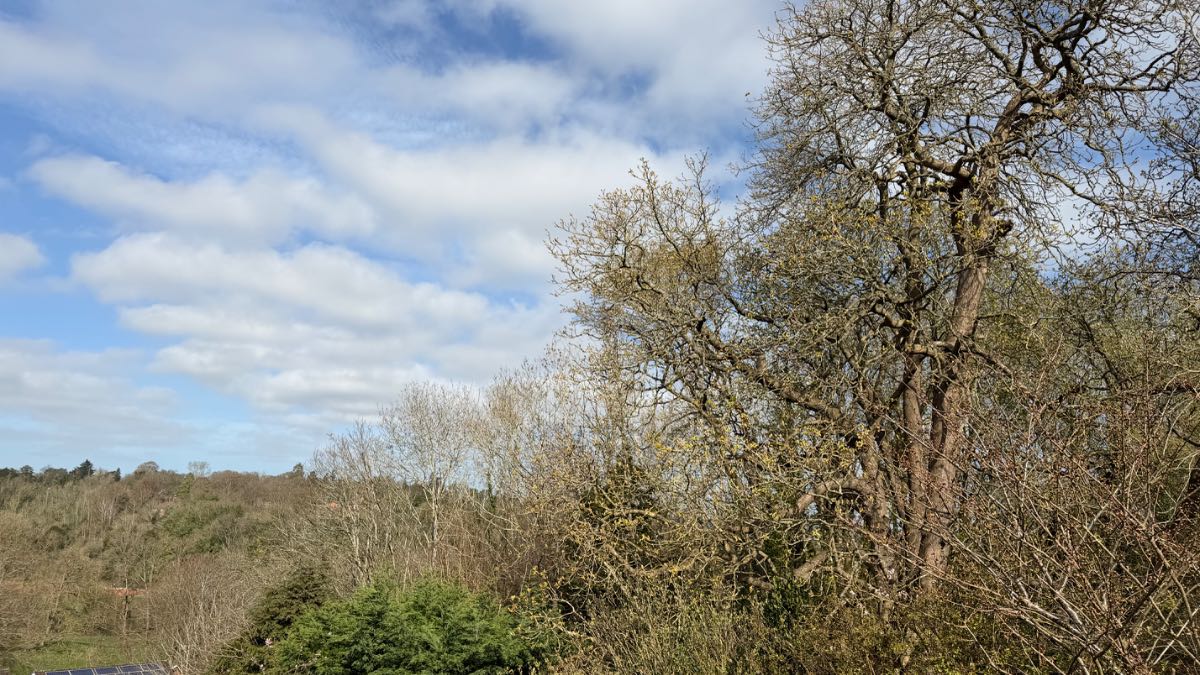 Henley, Oxon, A great day after cloudy start 15 c lots of sun.  ...