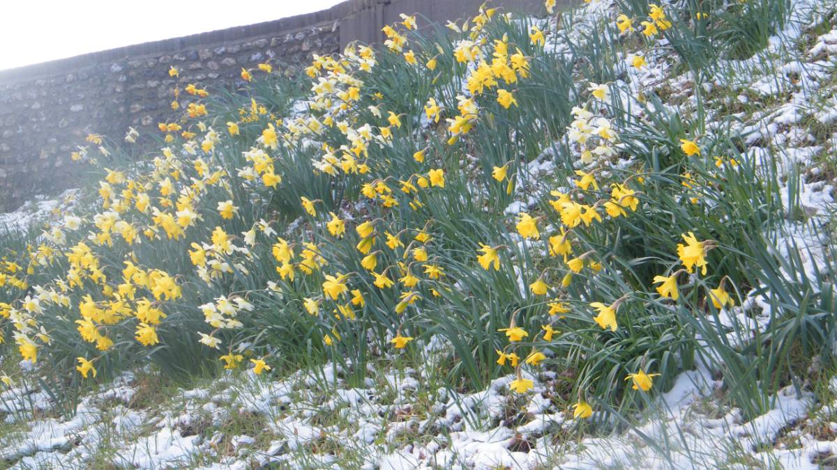 Chichester, West Sussex, On this day  (March 19th) 2018 - Chichester's Roman Walls in snow....