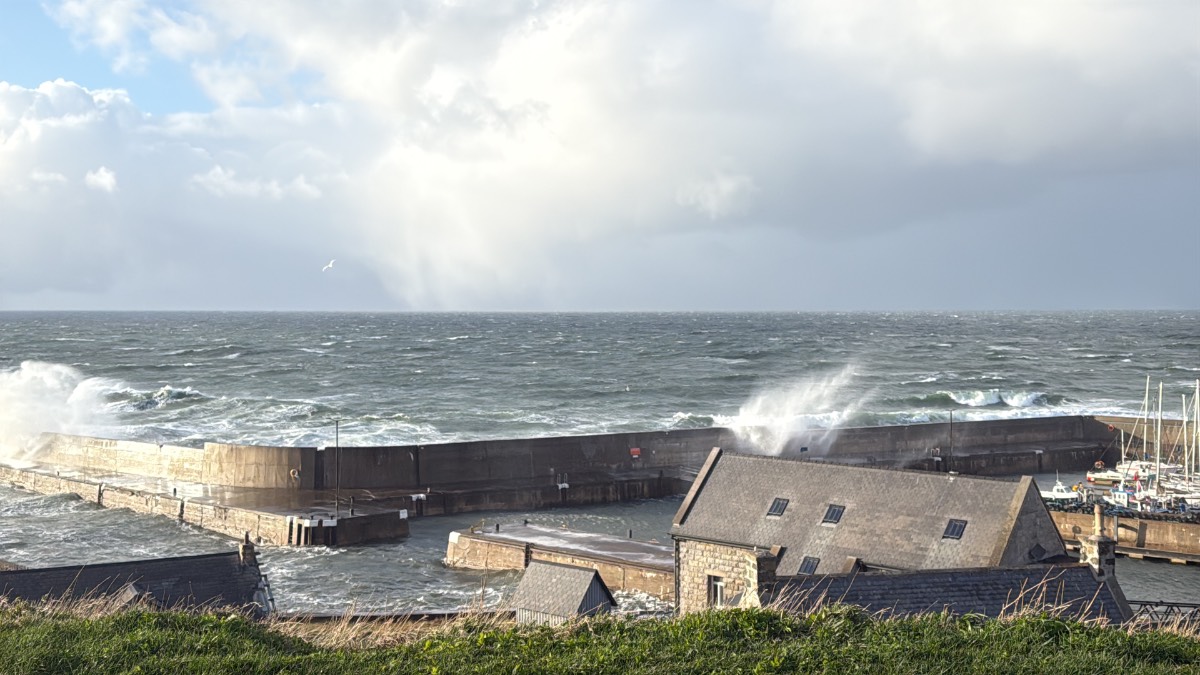 Whitehills, Banffshire, Breezy at the coast (25/3/26)...