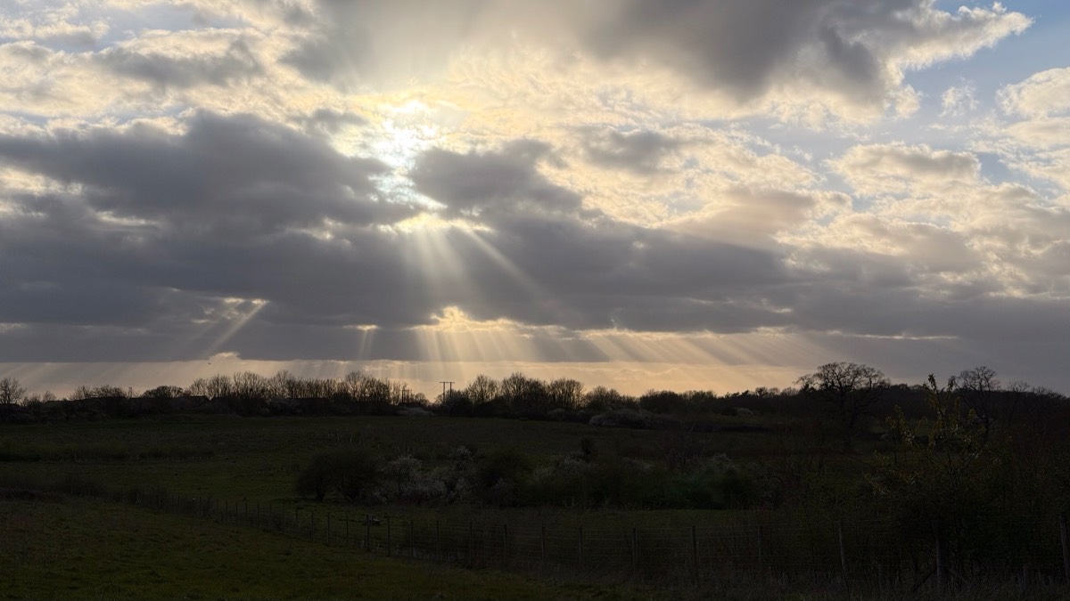 Henley, Oxon, Cold dry breezy day even though 13 c reached...