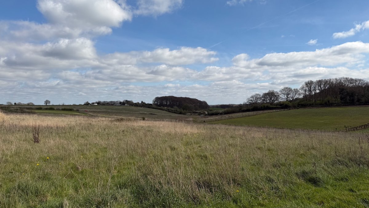 Stokenchurch, Bucks, This is much more sun than expecting ...