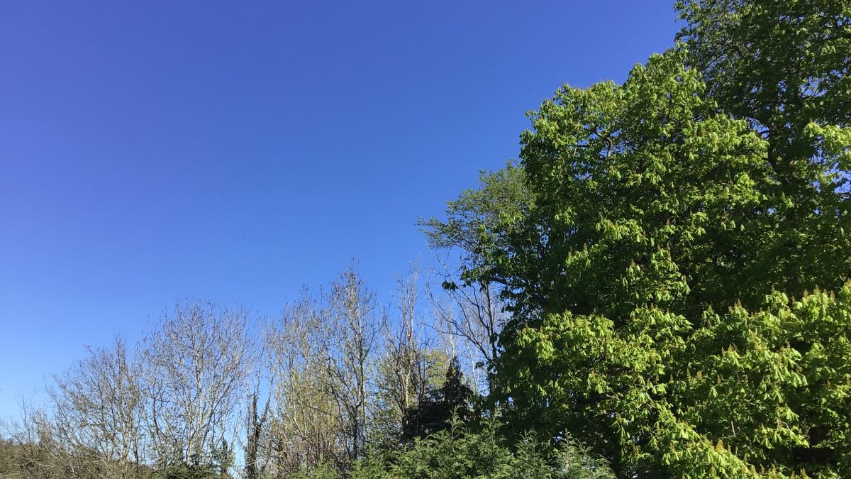 Henley, Oxon, Best days ever weather for nice temperature coolness at night and the green...